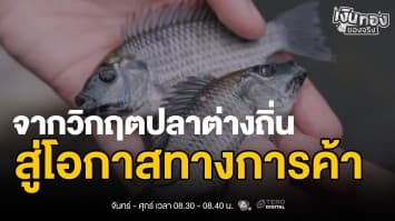 เอเลี่ยนสปีชีส์ในน้ำไทย จากปัญหาสิ่งแวดล้อมสู่ผลิตภัณฑ์มูลค่าเพิ่ม | เงินทองของจริง